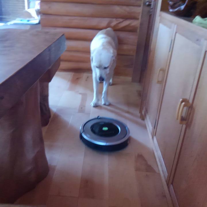 98c54735 c724 40ad 83d0 fe307919f62f