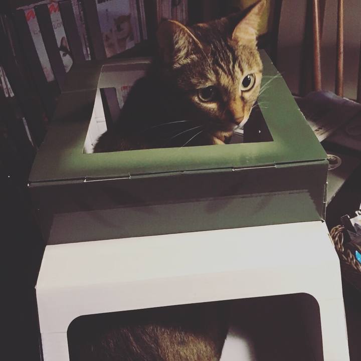 98c5e5c1 17d3 44cd b21a f618add05af6