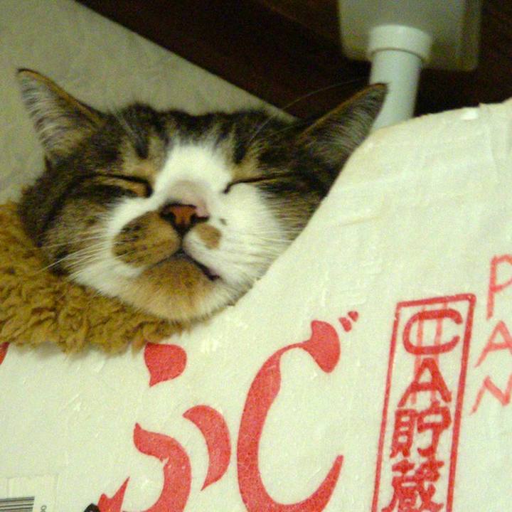 98c61795 bc1e 4823 a9a0 b70013cbea4b