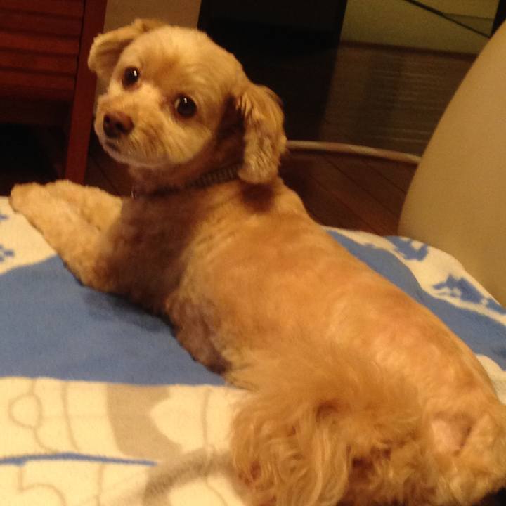 98c62964 9a91 422a 9d5d 2f04e4793943