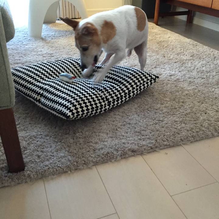 98c6aac3 9b54 4fb1 9392 b2e54d169a5a