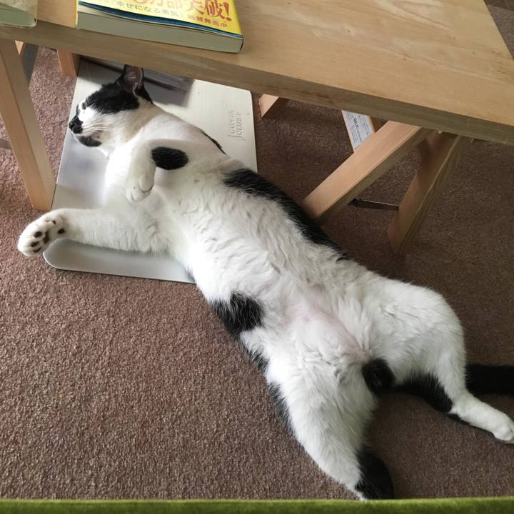 98c727b0 2c52 4eed 8423 c7597a02a6d9