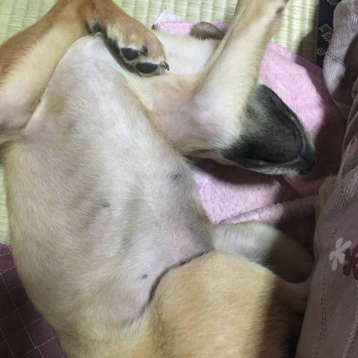 98c76421 6272 4b0e 8ba8 e32360529869