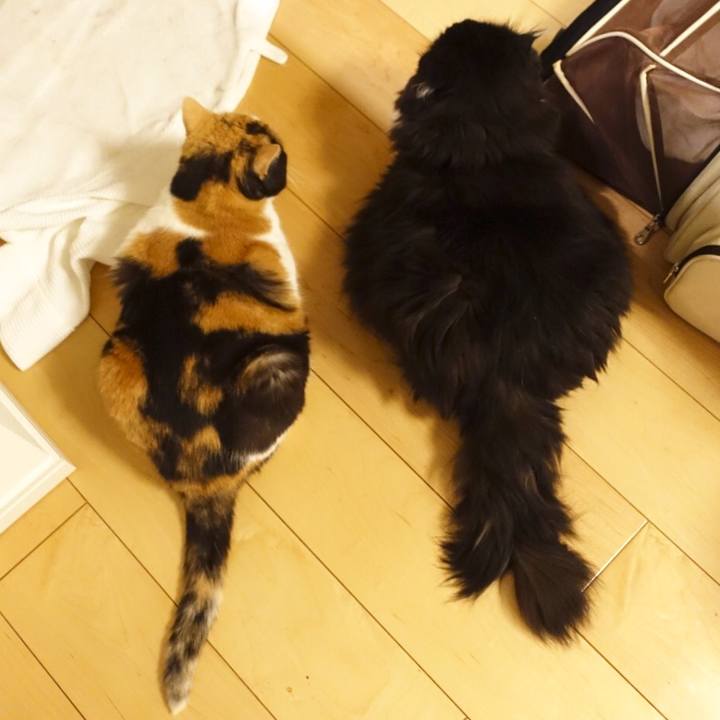 98c7e0d0 9018 4674 b670 2898e65a347e