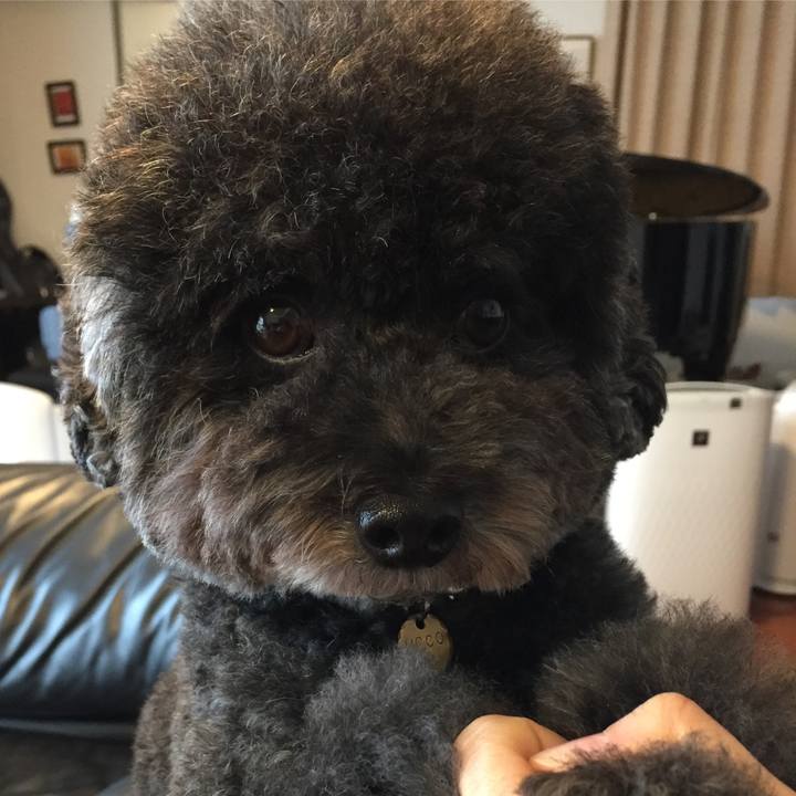 98c80c31 19bd 4a1c bc07 064a0569c27b