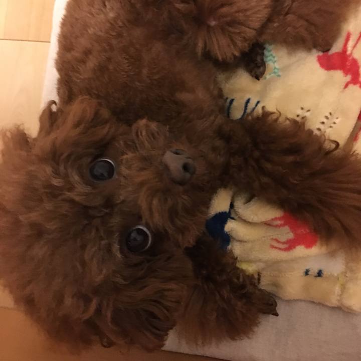 98c84d89 1d97 4e43 9625 7c19fcc3d6ec