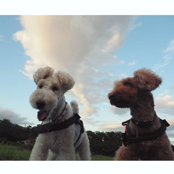 98c8852e e105 48f0 b7b0 9bc808436923