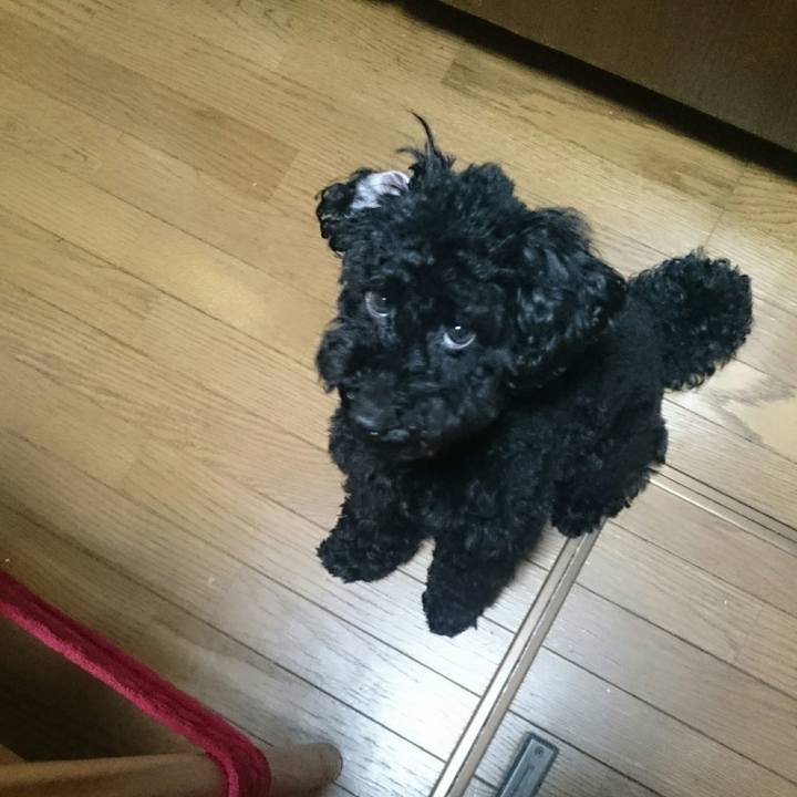 98c899e8 06cc 4be8 8ba2 3d3b6924dcb3