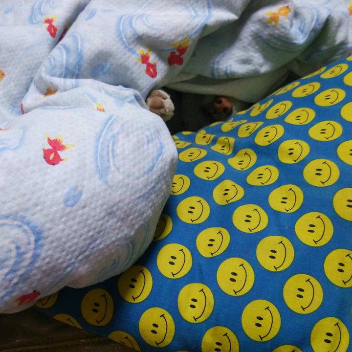 98c917a2 ef0f 4b34 b565 1f3d62dab005