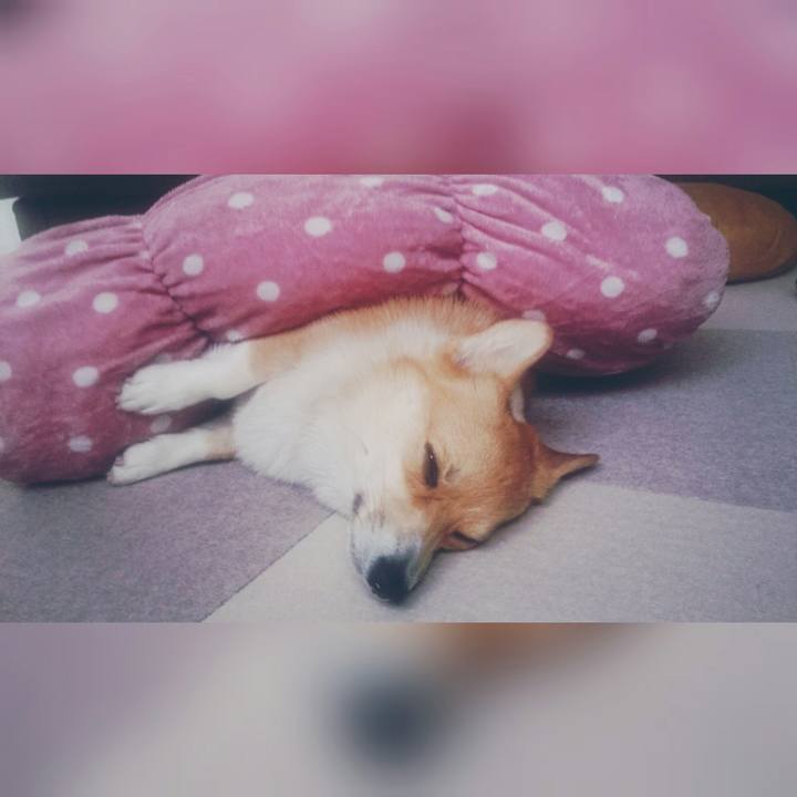 98c92f23 0b76 47f2 a055 d39022cc33dc