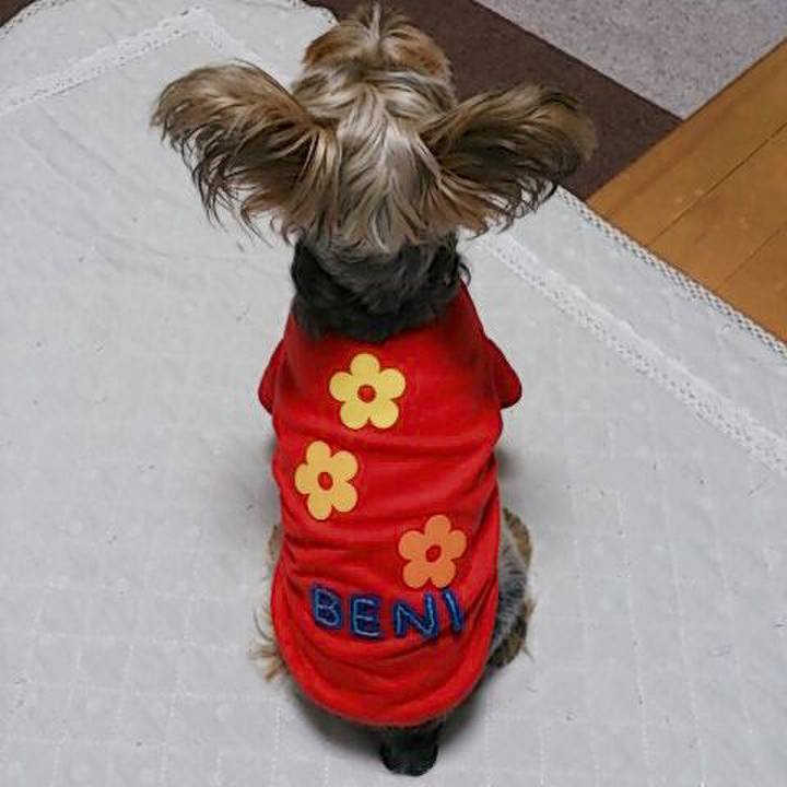 98c9643a 91d3 45fd 9fec bcab2ab0caaa