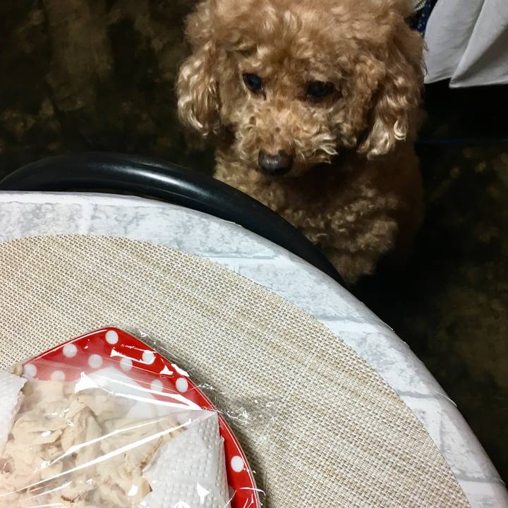 98ca24cc a28a 41bd a2e4 ba58ce4701b8