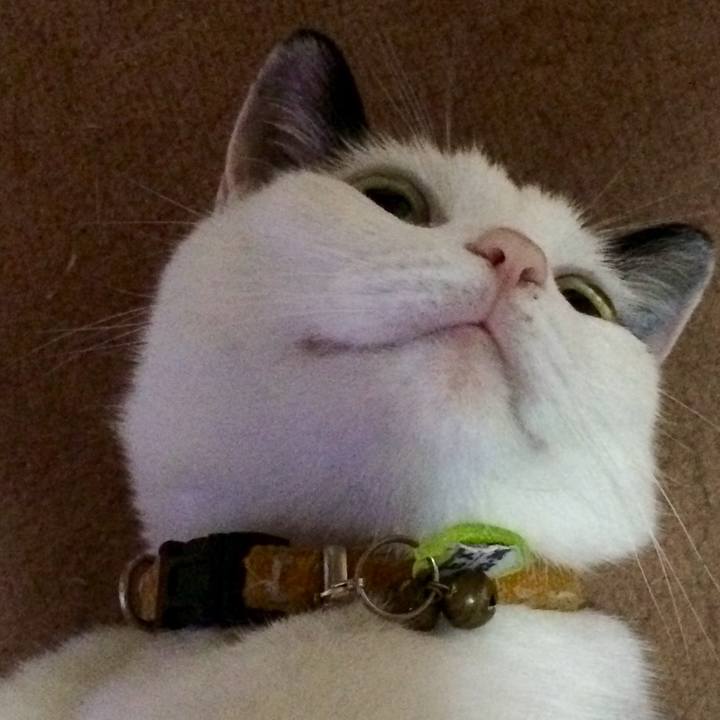 98ca3d06 ed99 4e12 850f 4c6e033bc3fd