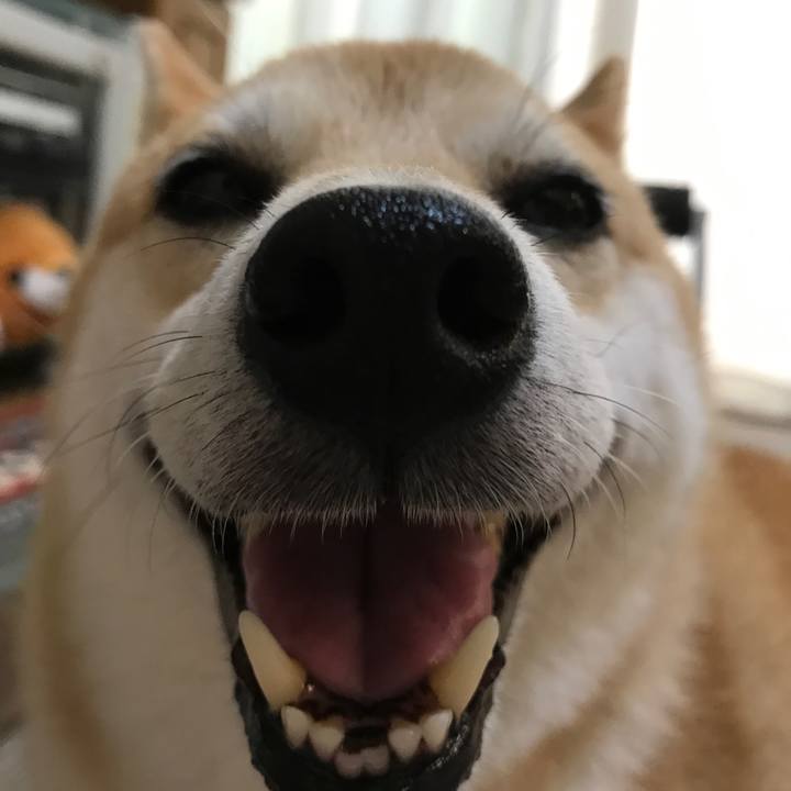 98cb0d49 ca1e 4dd3 ac8f cd66f181e137