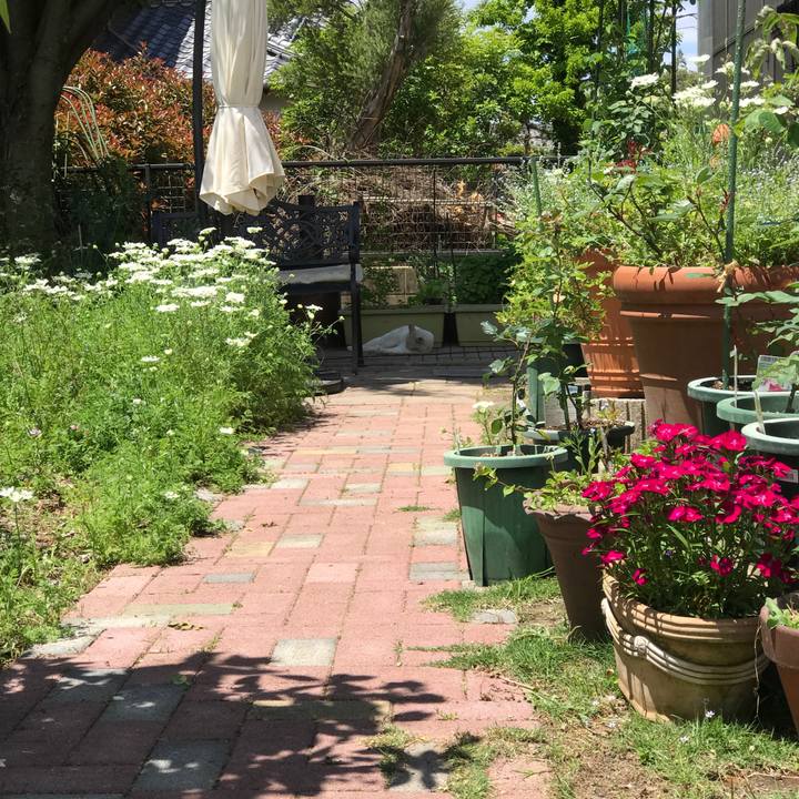 98cb6174 bcc0 4271 9175 dd963e507109