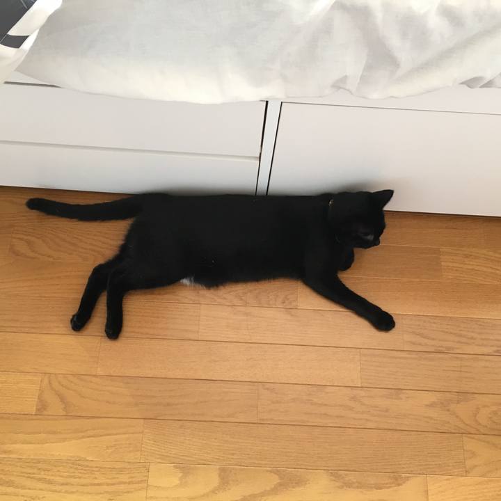 98ccd54a c2ef 47f7 9235 e264a928c0e3