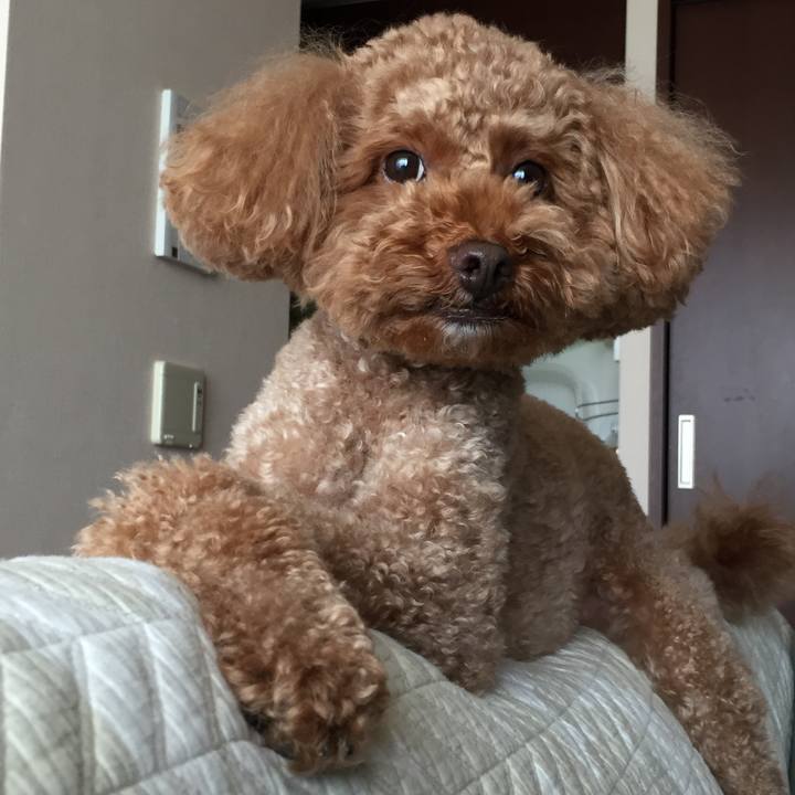 98cd5894 9b60 4a6d 9744 934c91b16bf6