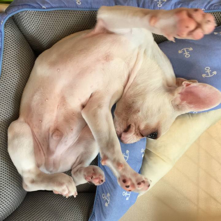 98cda439 9f1e 4a19 853b 2d848b13eb8c