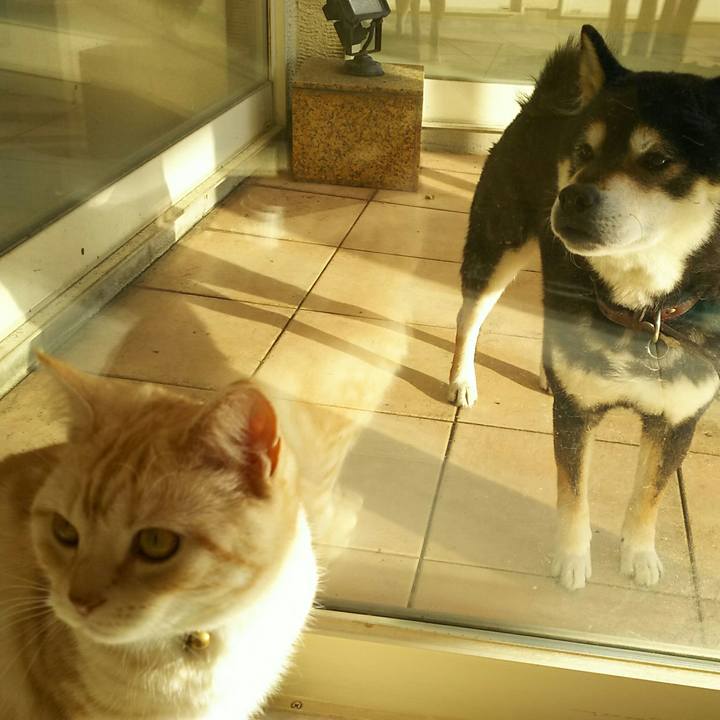 98cdbf75 9697 45c4 9a55 122aa3603d6c