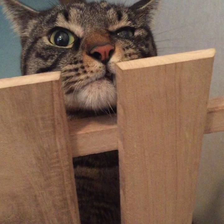 98cdf6a2 fb40 4dde 88b9 857ad3370511