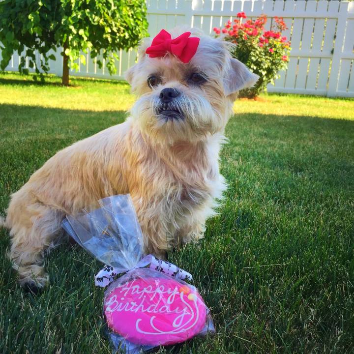 98cdfaa9 b2d8 4454 81ee 972cb3328ed5