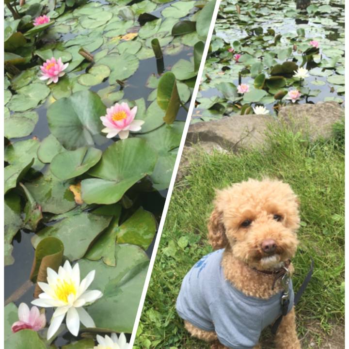 98cea85c 3d0f 4555 923f dfcb00c9657e