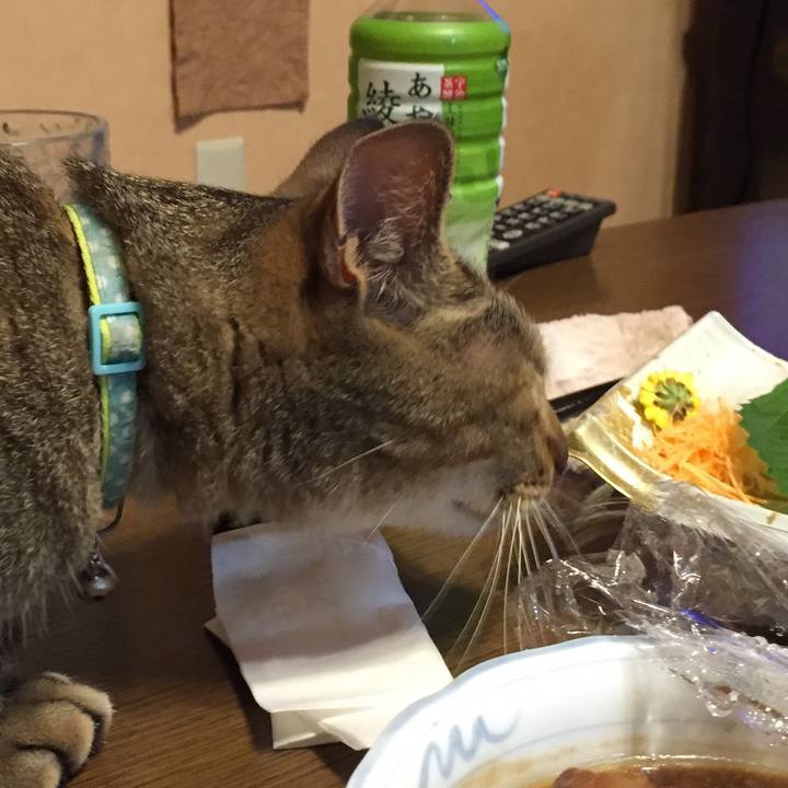 98cef547 25d5 41ae ba53 a51c61c16b5d