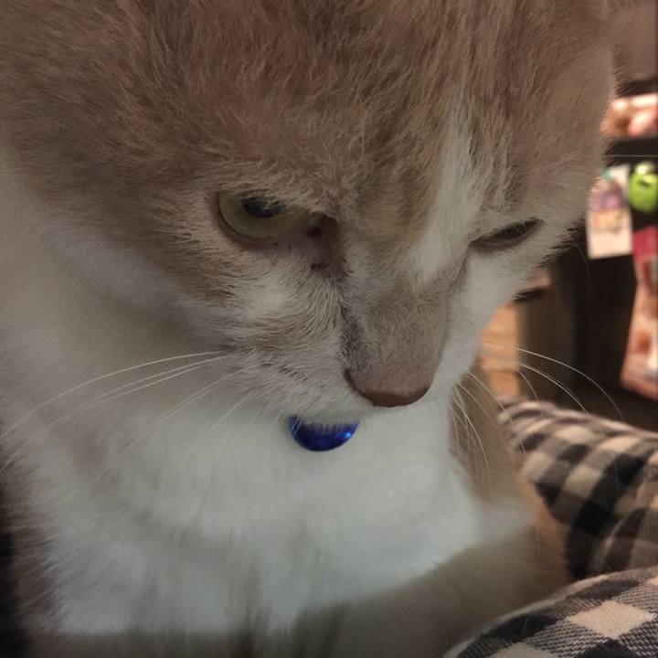 98cfabcc ae18 4f19 9ea8 d260abbda74c