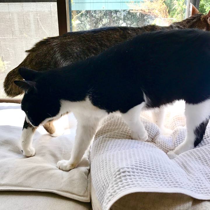 98cfe6ba 31e6 4145 8aba 6a7b0f4ca05d