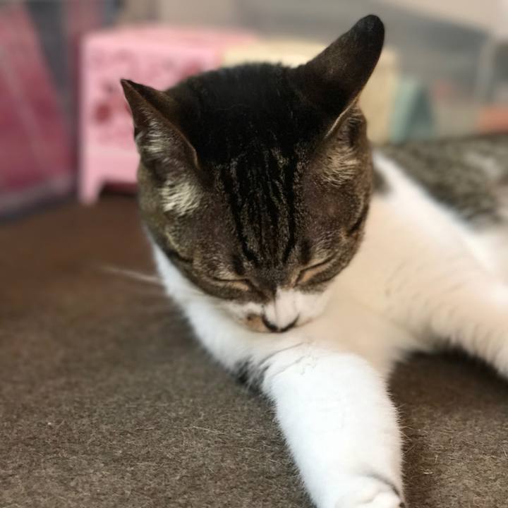 98d0091d 4a10 41e1 8947 459457822044