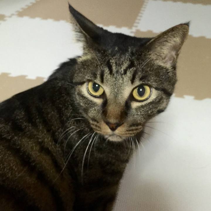 98d05f43 74e8 4f3e b874 c5ab7ecc6929