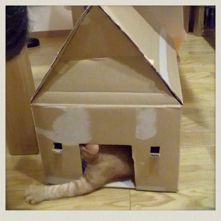 98d0ad92 69b7 43ce bc06 f2e26a12f748