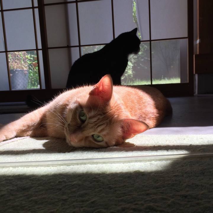 98d1264a 8cb9 4941 9503 87cf79c183fb