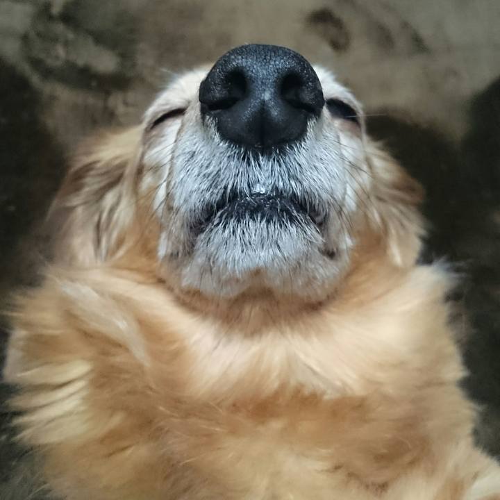 98d1a37e d8c3 4943 a854 3e2f8b610b0f