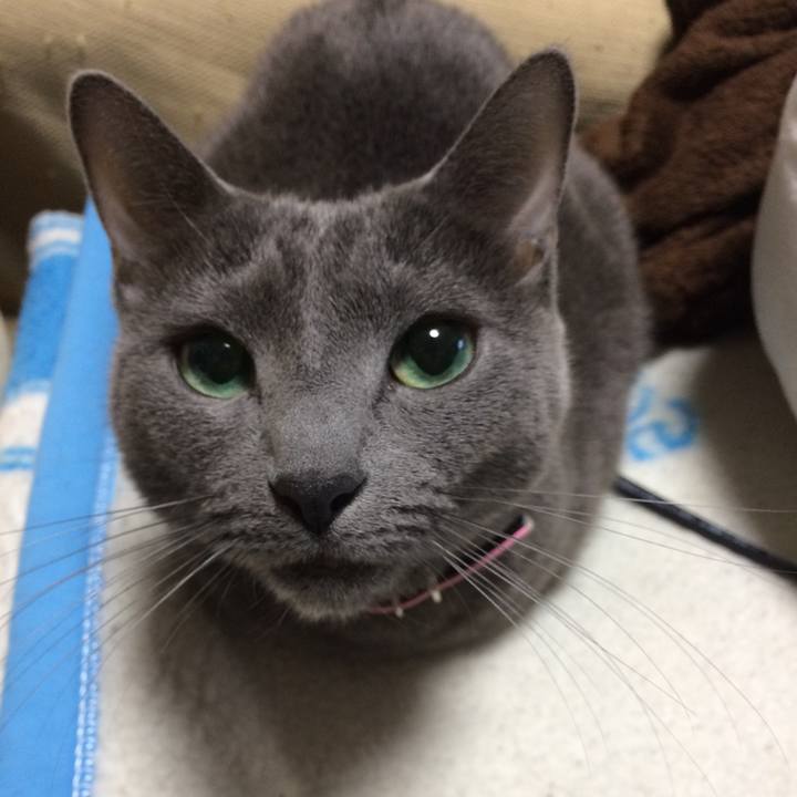 98d1c4b2 6cd4 4926 844b 676903f5a705