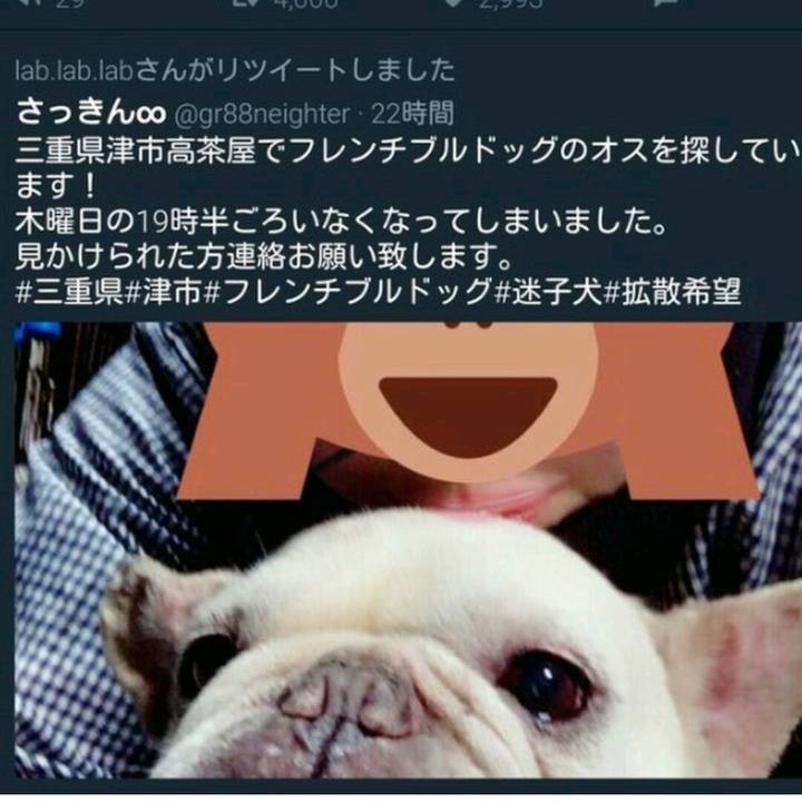 98d1f855 5042 47f1 851f dbc7947c7f83