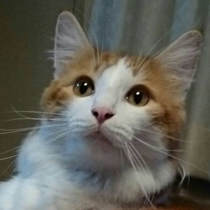 98d20e48 8924 4cdc 9952 2d8df634f175