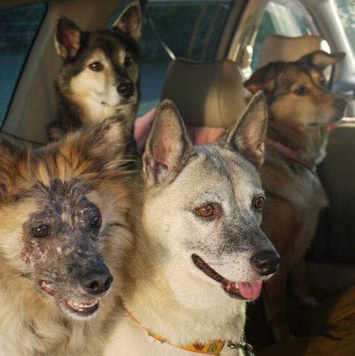 98d20fc2 c88c 4f9a 838e a59051290ba6