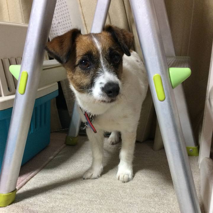 98d2a419 c53e 40b2 8c32 8144e57a0fb3