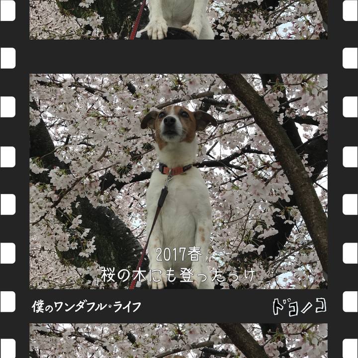 98d335ec 5250 4ce8 a2b3 9b530488c0d2