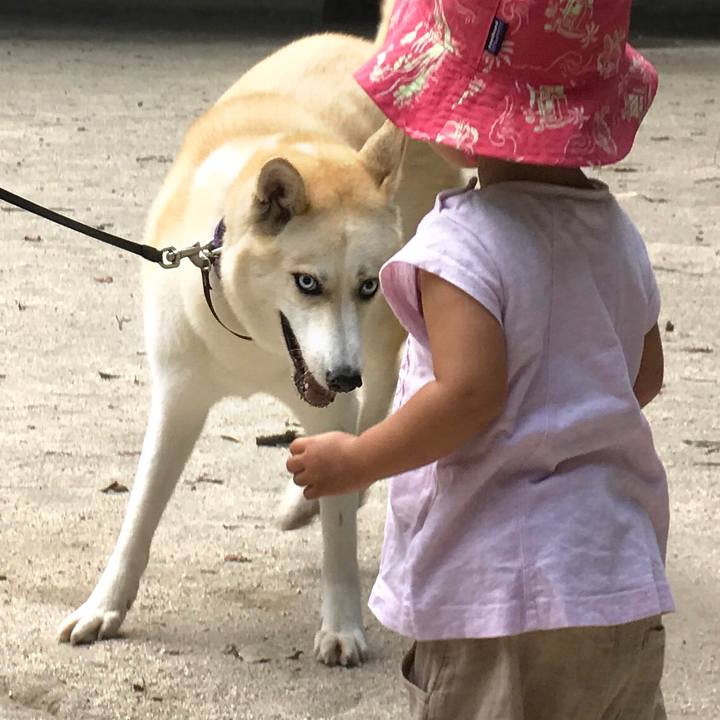 98d3949c 646c 4c16 b6c4 6231a87bccbf