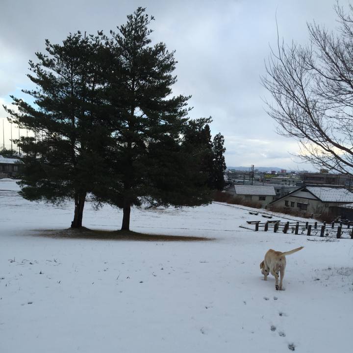 98d3c8e7 7f89 47eb 80ff 7debe51be621