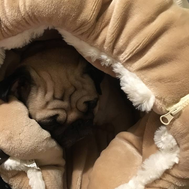 98d46624 1e49 47ce a7cc c053a8c719d6