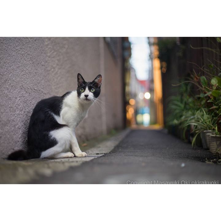 98d4b96c b390 4103 8bfa 74bdcd85ee1b