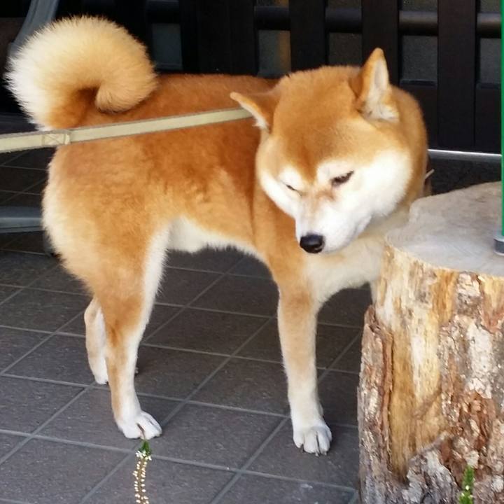 98d52347 64c1 426e 989f 90689d65bfff