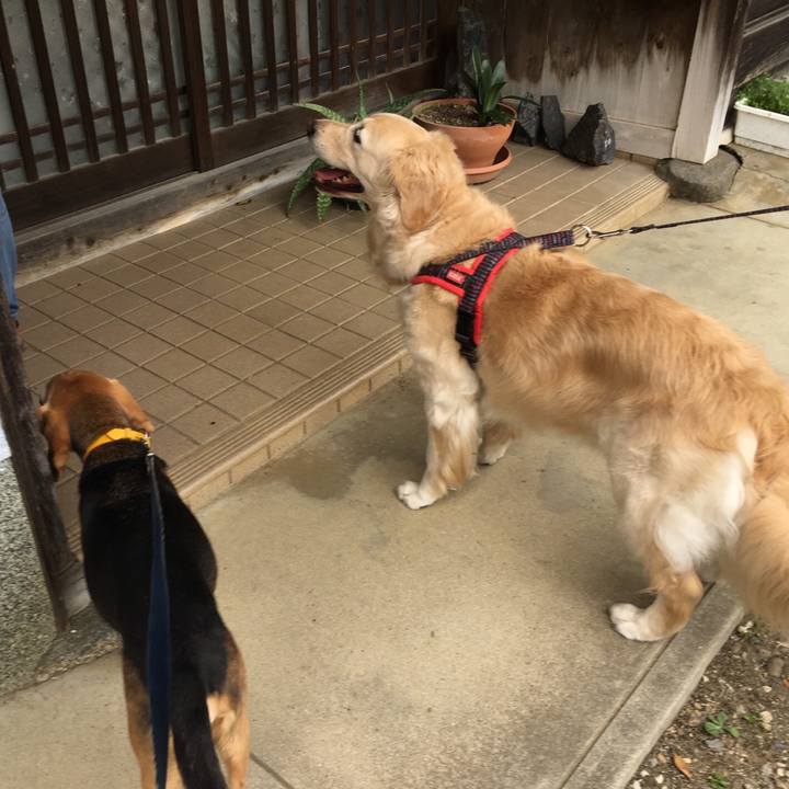 98d5681b 06ec 4bbe 95a5 12f5490fe6bb