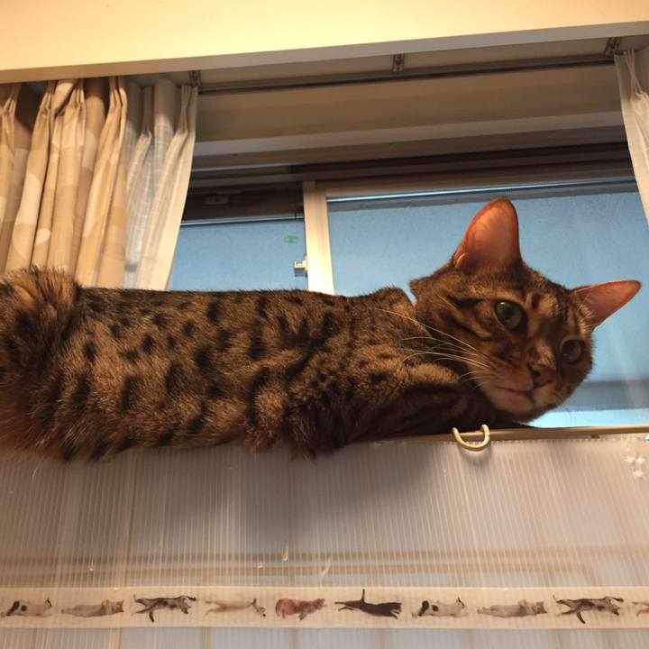 98d578d3 0846 4c48 83b1 636bce357499