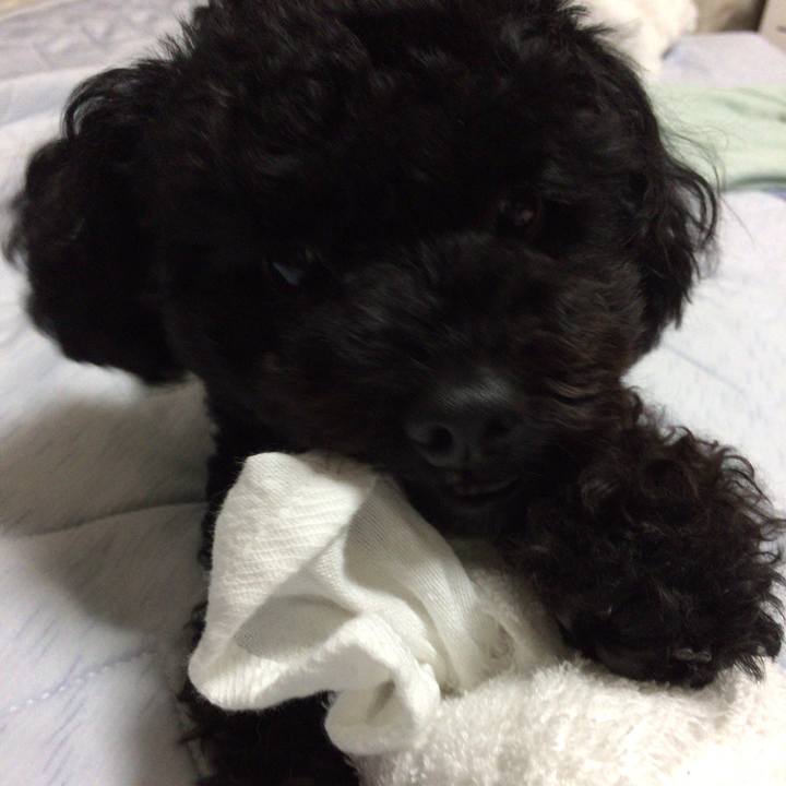 98d75d35 d24f 404c bc3a 547b7a894e73