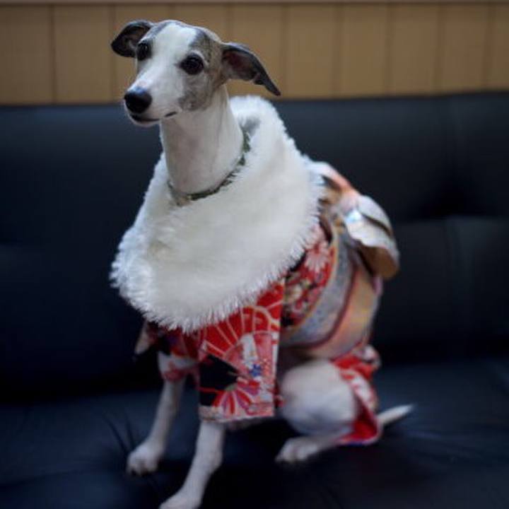 98d846ba 0ffe 4290 b486 ab34f9bebcc0