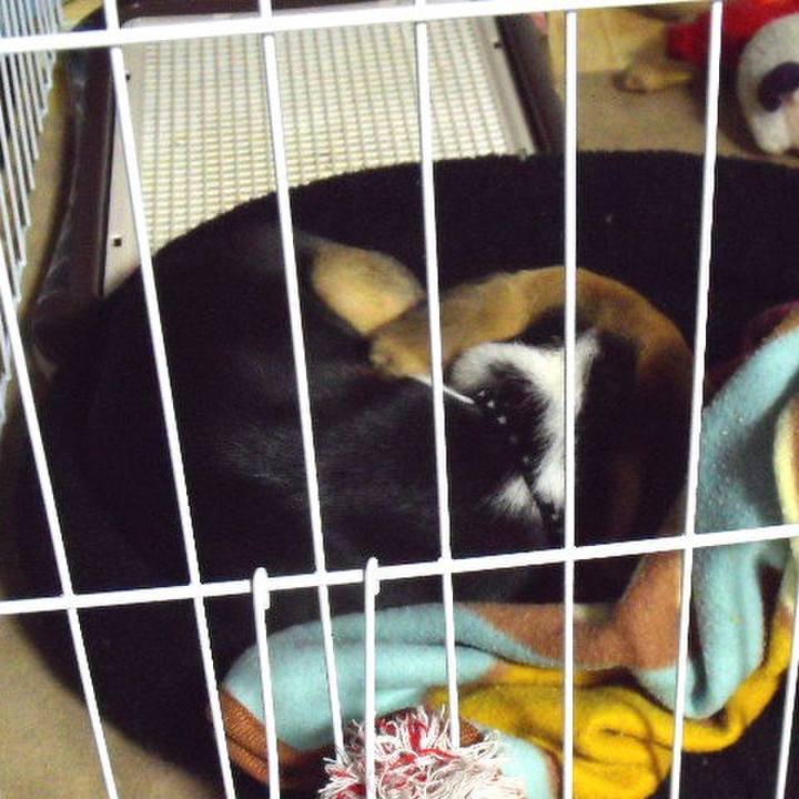 98d88d9d 179a 4852 a21c 61fbf872b917